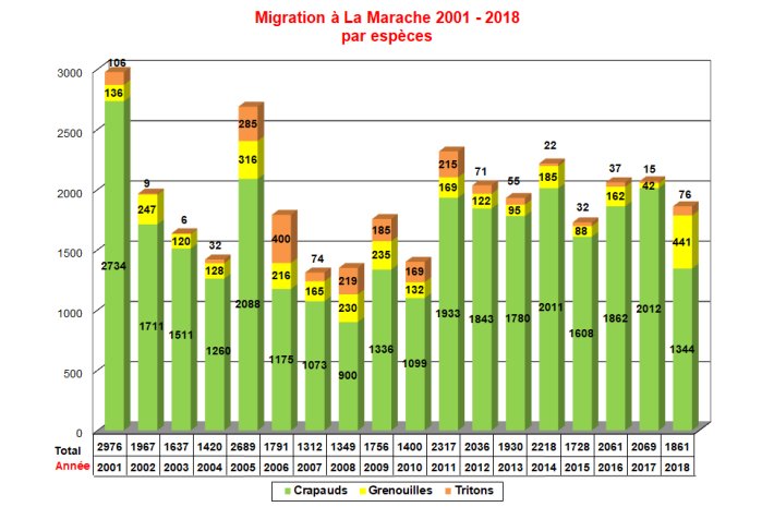 Migration Marache 2001 2018 par espce
