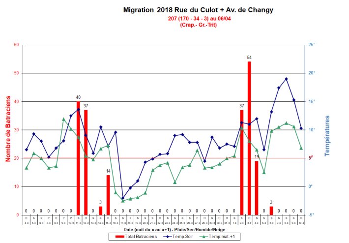 Migration Culot 2018