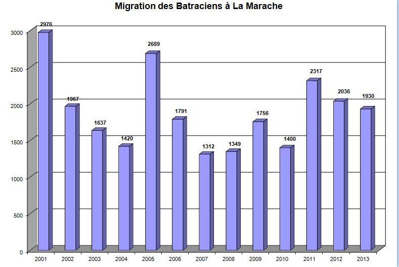 Migration Marache 2001 2013
