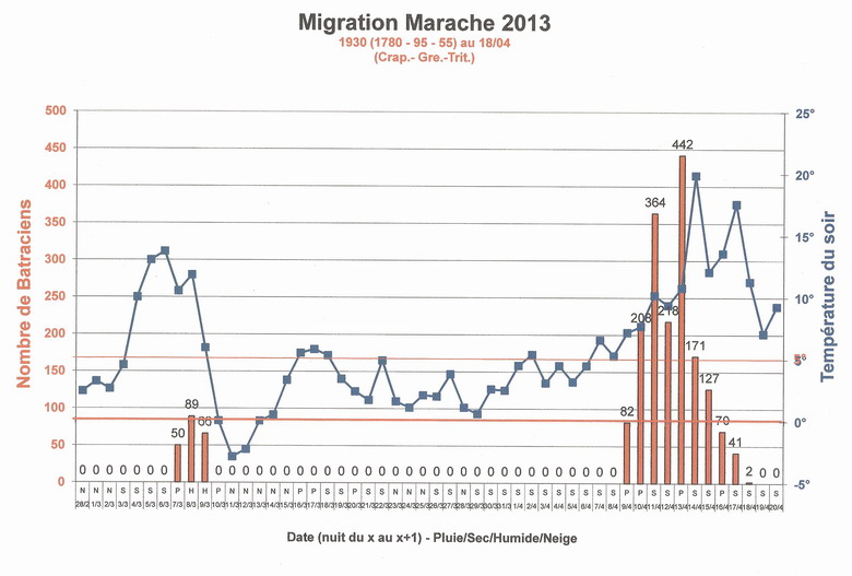 migration marache