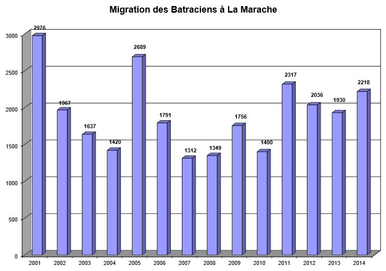 mig marache 2001 2014