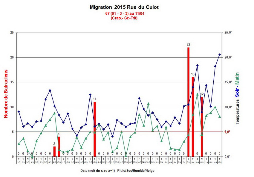 migration culot 2015