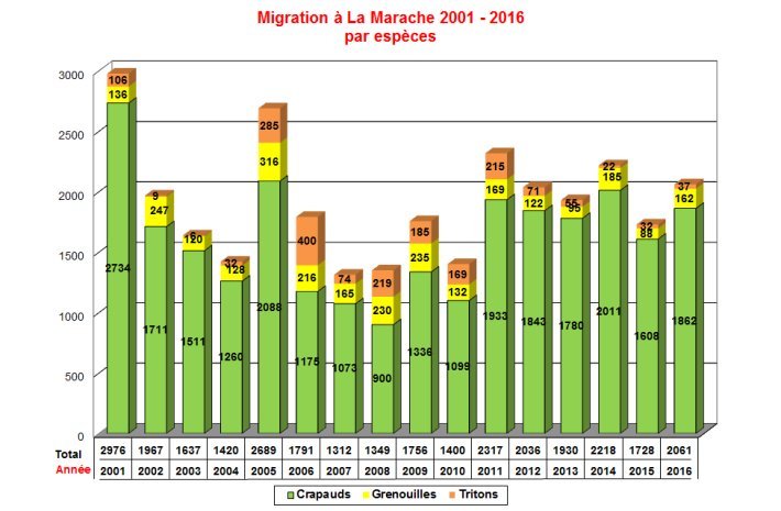 Marache 2001 2016 especes