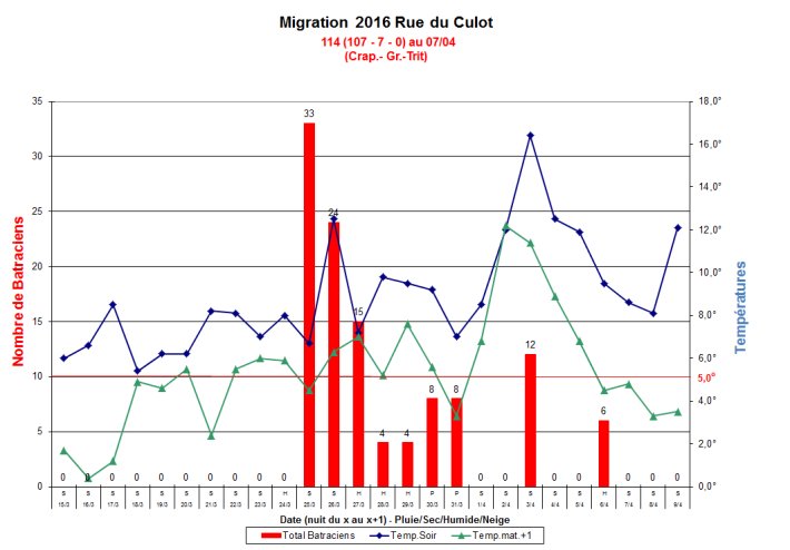 Migration Culot 2016