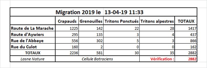 Migration 2019