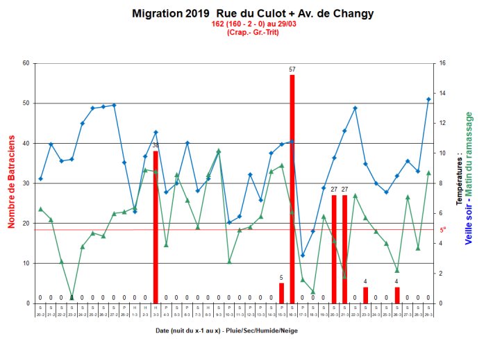 Migration Culot 2019