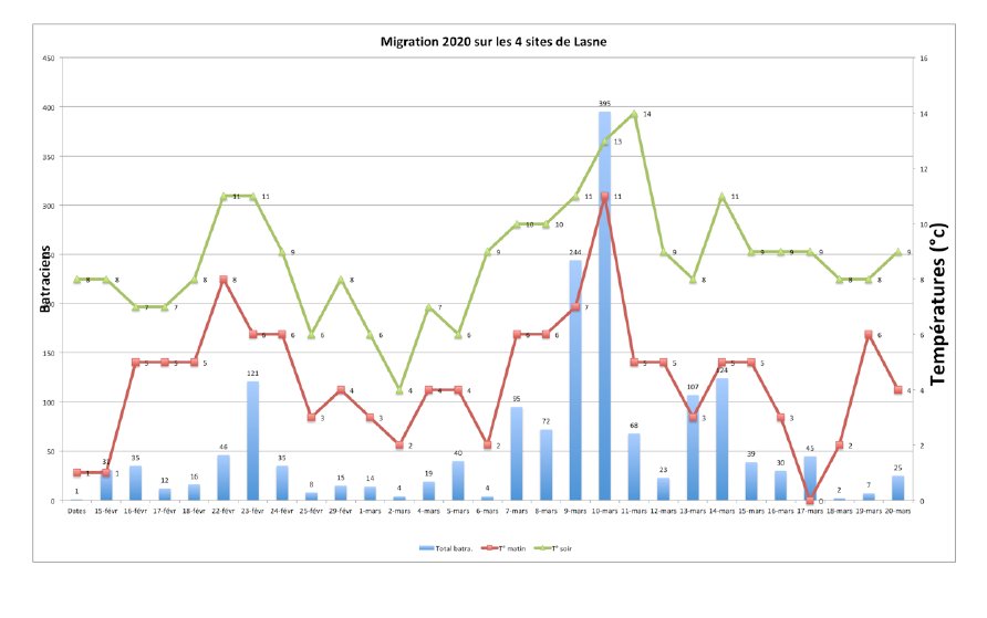 Migration 2020 Lasne