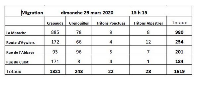 Migration Marache 2020