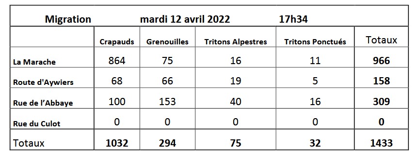 2022 migration2